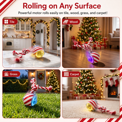 FetchyToys™ Christmas Edition