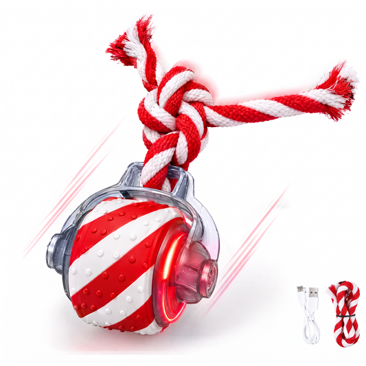 FetchyToys™ Christmas Edition